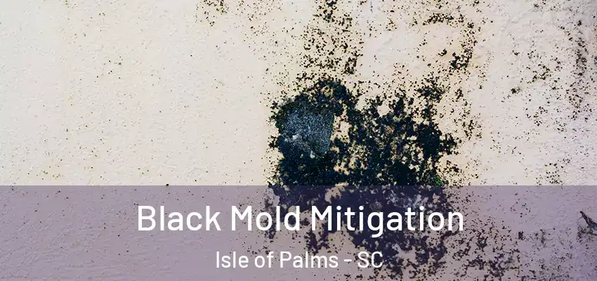 Black Mold Mitigation Isle of Palms - SC