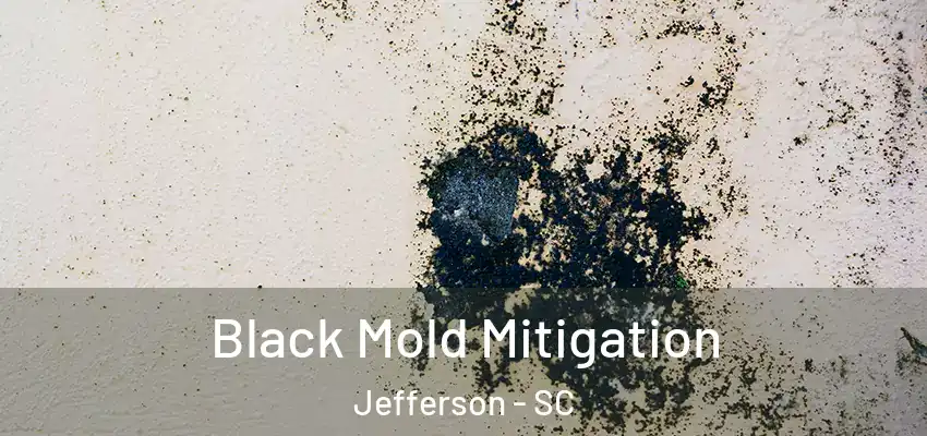  Black Mold Mitigation Jefferson - SC