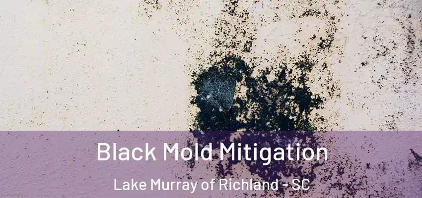 Black Mold Mitigation Lake Murray of Richland - SC