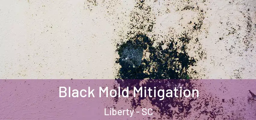 Black Mold Mitigation Liberty - SC