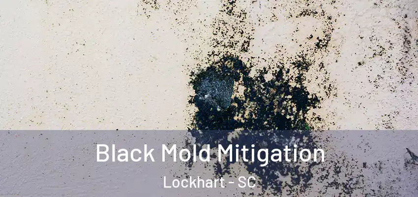 Black Mold Mitigation Lockhart - SC