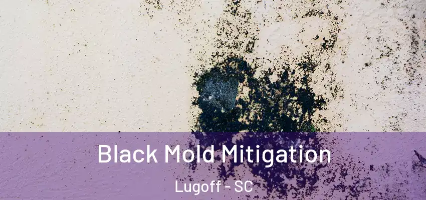  Black Mold Mitigation Lugoff - SC