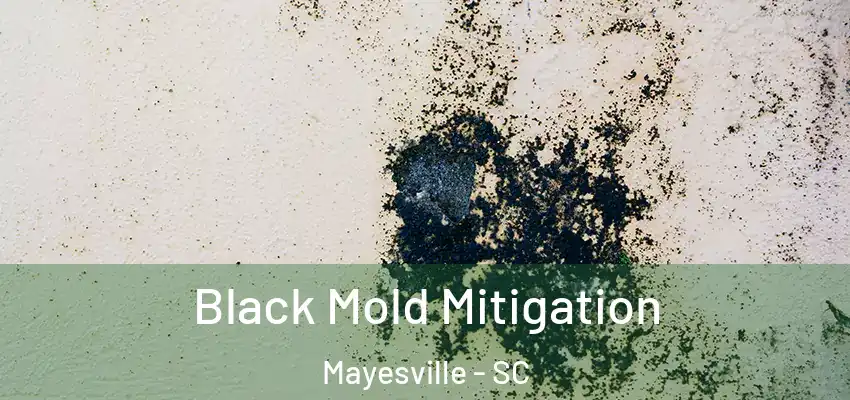 Black Mold Mitigation Mayesville - SC