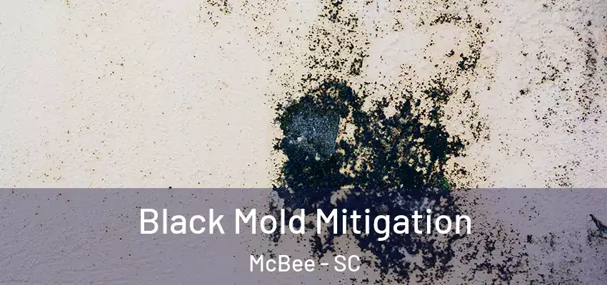 Black Mold Mitigation McBee - SC