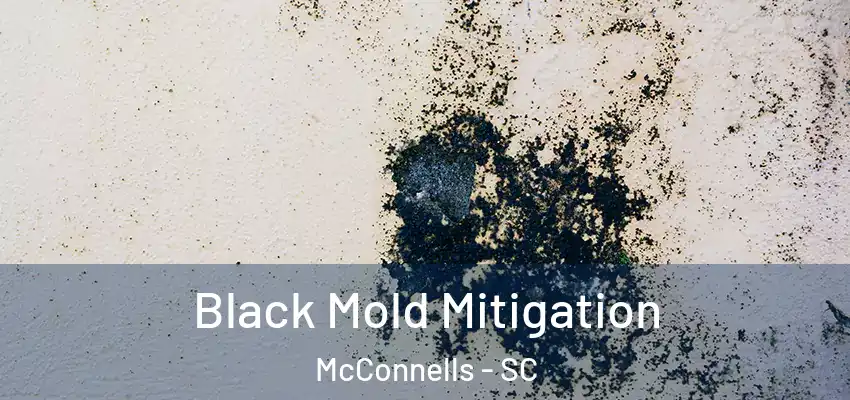 Black Mold Mitigation McConnells - SC