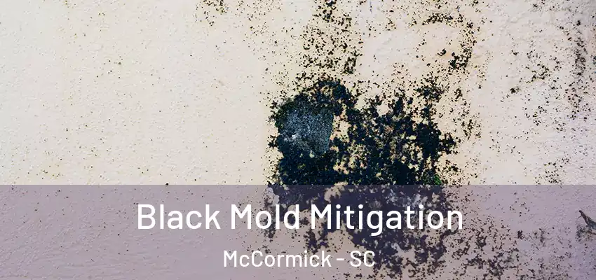  Black Mold Mitigation McCormick - SC