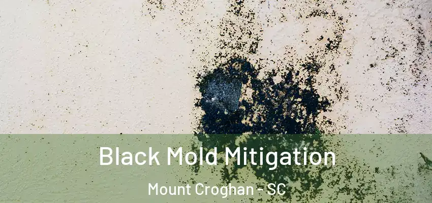 Black Mold Mitigation Mount Croghan - SC