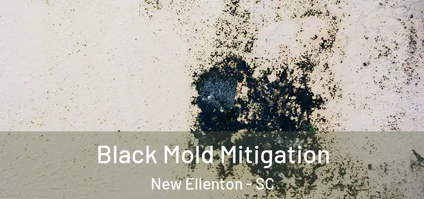  Black Mold Mitigation New Ellenton - SC