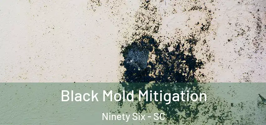 Black Mold Mitigation Ninety Six - SC