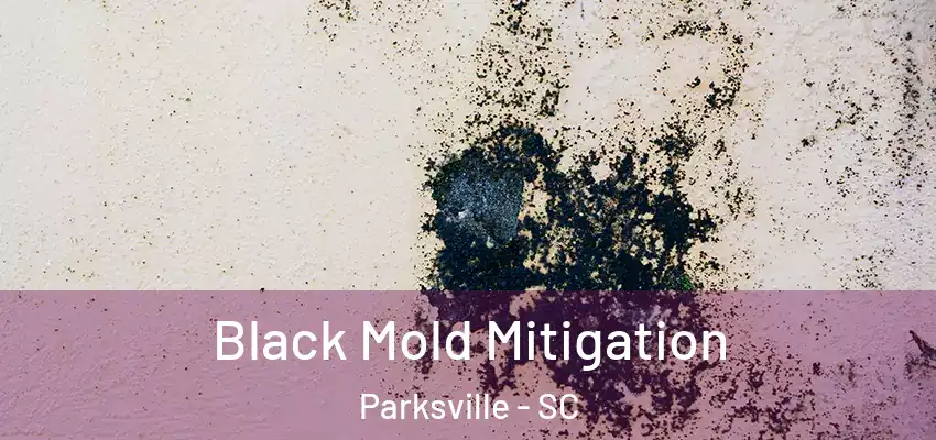  Black Mold Mitigation Parksville - SC