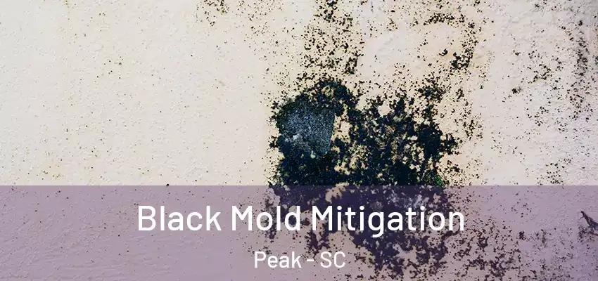  Black Mold Mitigation Peak - SC