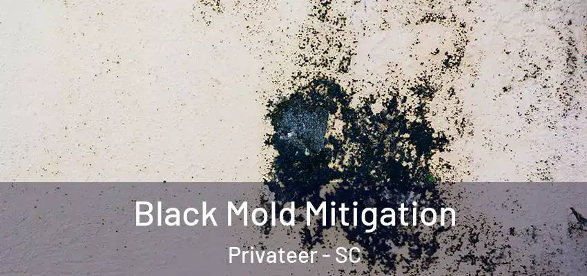 Black Mold Mitigation Privateer - SC