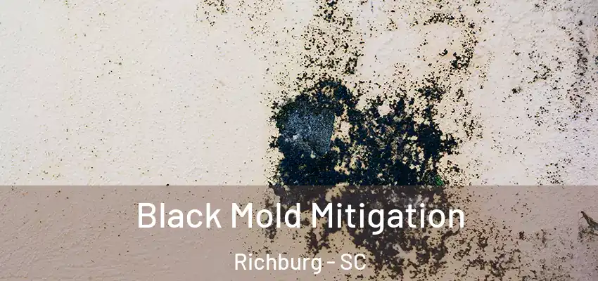  Black Mold Mitigation Richburg - SC