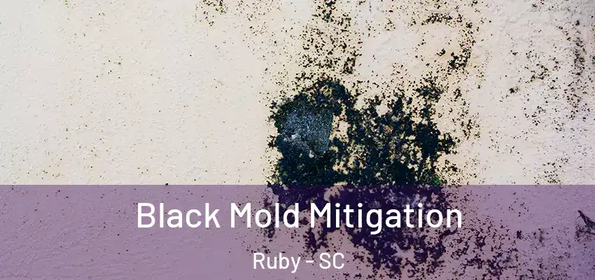  Black Mold Mitigation Ruby - SC