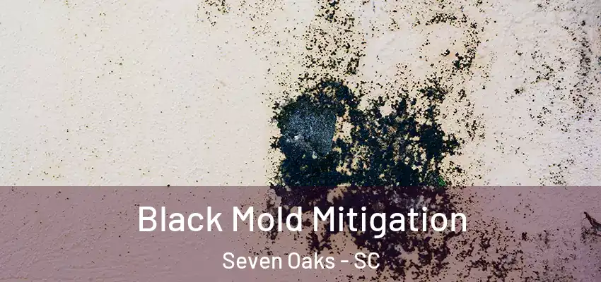 Black Mold Mitigation Seven Oaks - SC