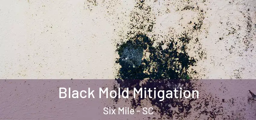  Black Mold Mitigation Six Mile - SC
