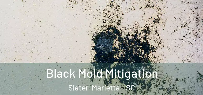 Black Mold Mitigation Slater-Marietta - SC