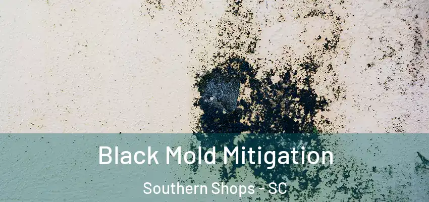  Black Mold Mitigation Southern Shops - SC