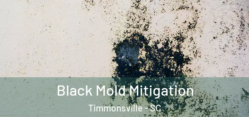  Black Mold Mitigation Timmonsville - SC