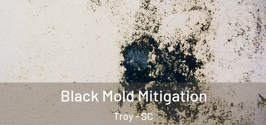  Black Mold Mitigation Troy - SC