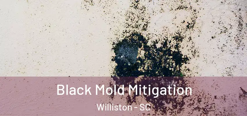 Black Mold Mitigation Williston - SC