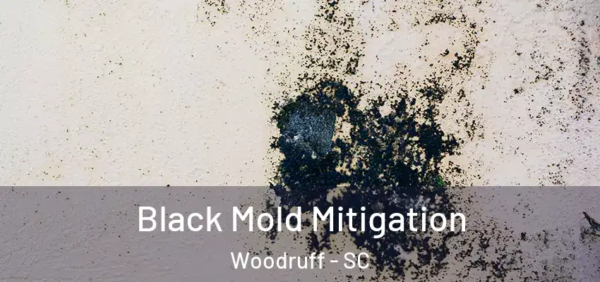 Black Mold Mitigation Woodruff - SC