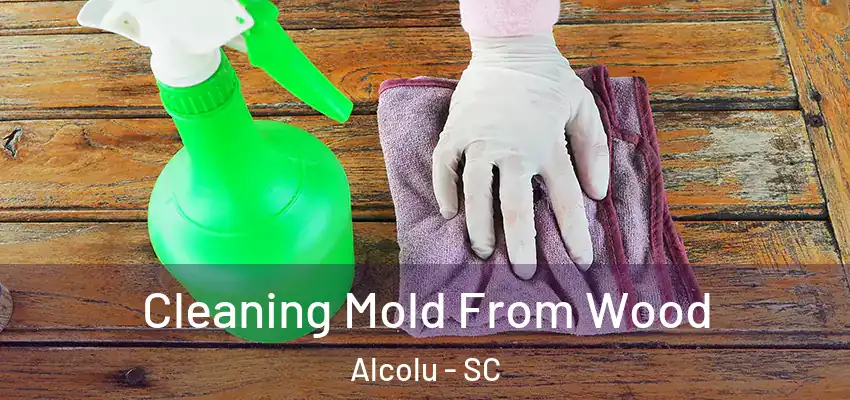  Cleaning Mold From Wood Alcolu - SC