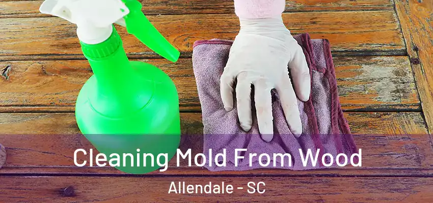Cleaning Mold From Wood Allendale - SC