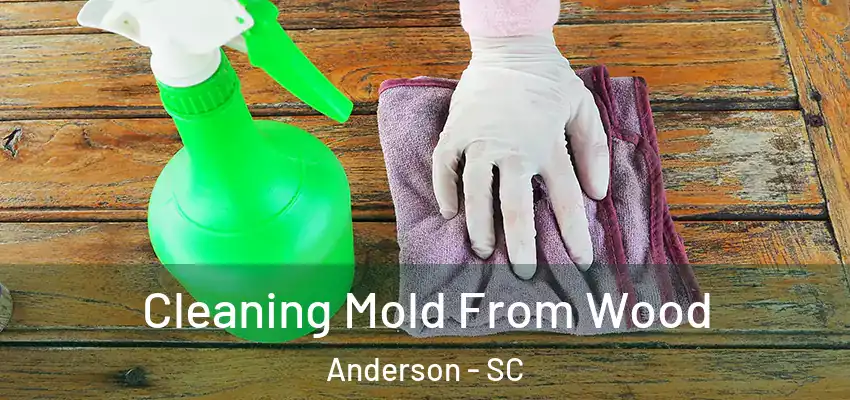 Cleaning Mold From Wood Anderson - SC