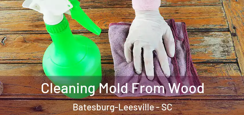  Cleaning Mold From Wood Batesburg-Leesville - SC