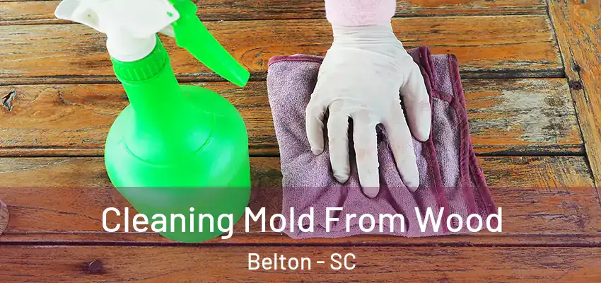 Cleaning Mold From Wood Belton - SC