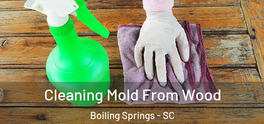  Cleaning Mold From Wood Boiling Springs - SC