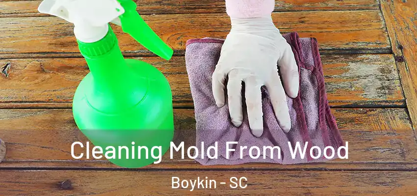 Cleaning Mold From Wood Boykin - SC
