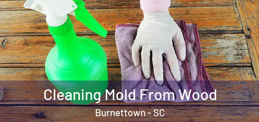  Cleaning Mold From Wood Burnettown - SC
