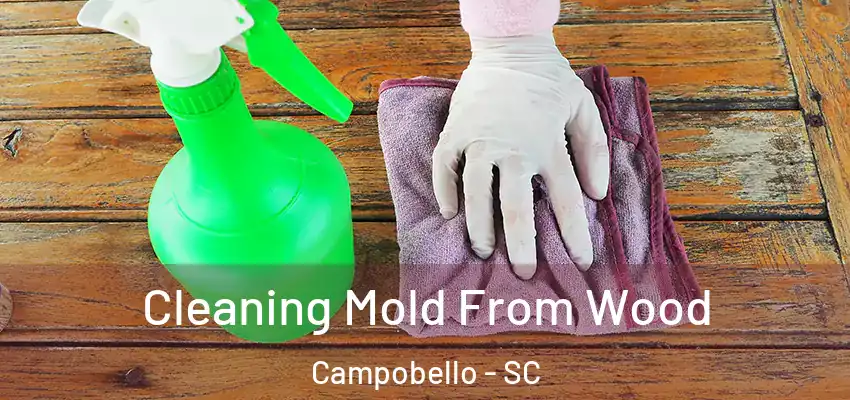 Cleaning Mold From Wood Campobello - SC
