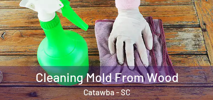  Cleaning Mold From Wood Catawba - SC