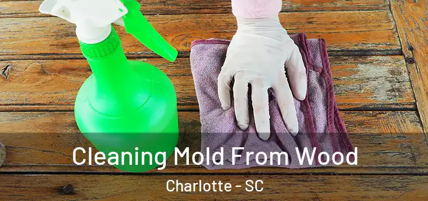  Cleaning Mold From Wood Charlotte - SC