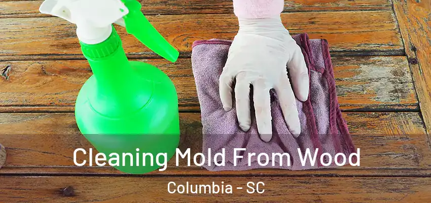  Cleaning Mold From Wood Columbia - SC