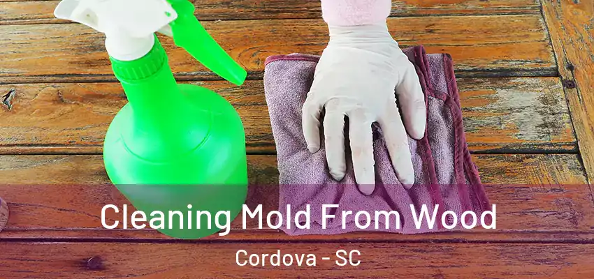  Cleaning Mold From Wood Cordova - SC