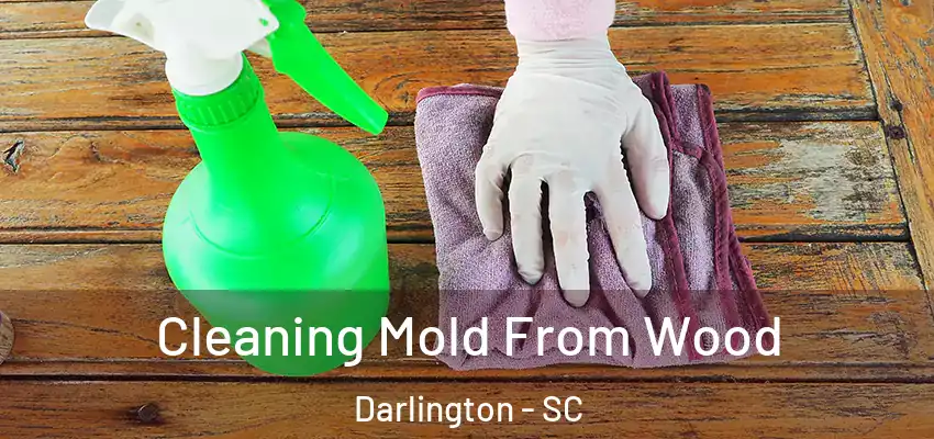  Cleaning Mold From Wood Darlington - SC