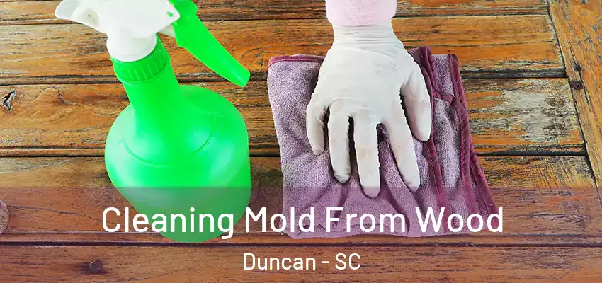 Cleaning Mold From Wood Duncan - SC