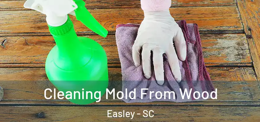  Cleaning Mold From Wood Easley - SC