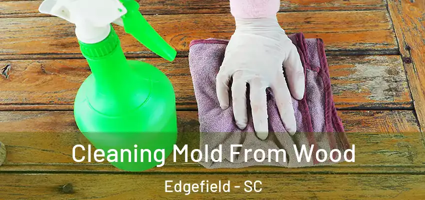  Cleaning Mold From Wood Edgefield - SC