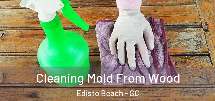  Cleaning Mold From Wood Edisto Beach - SC