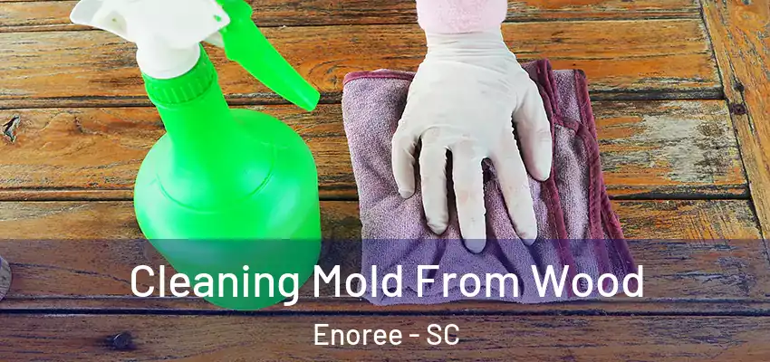  Cleaning Mold From Wood Enoree - SC