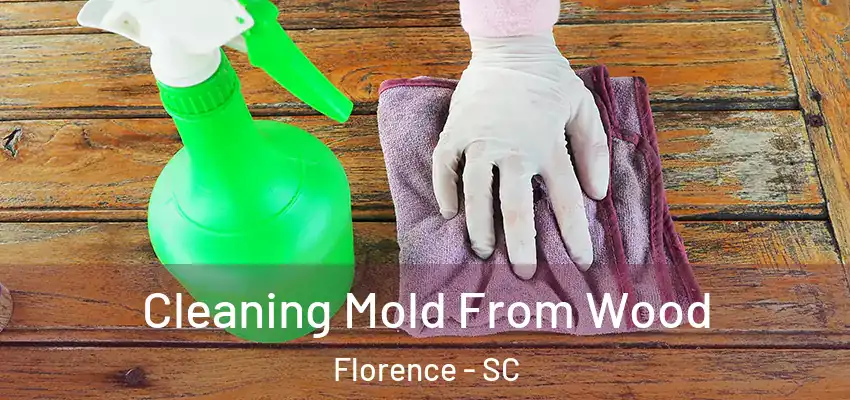 Cleaning Mold From Wood Florence - SC