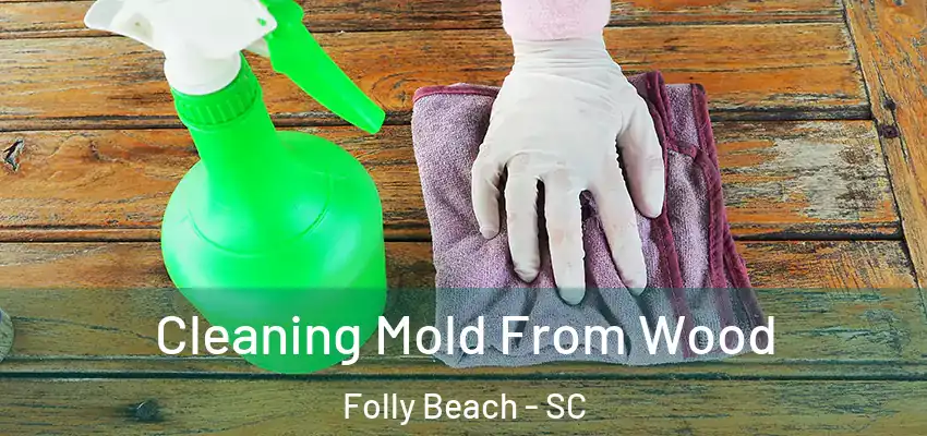 Cleaning Mold From Wood Folly Beach - SC