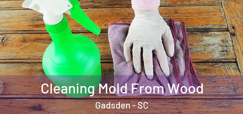 Cleaning Mold From Wood Gadsden - SC