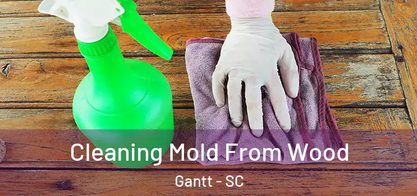 Cleaning Mold From Wood Gantt - SC