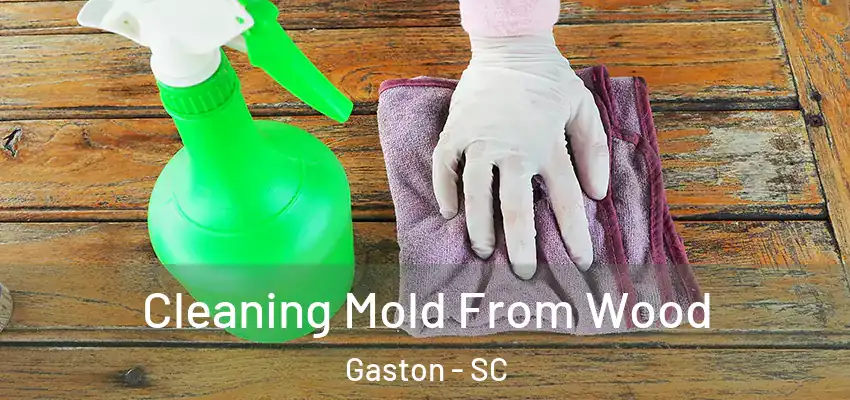 Cleaning Mold From Wood Gaston - SC